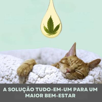 Calm &amp; Relaxation