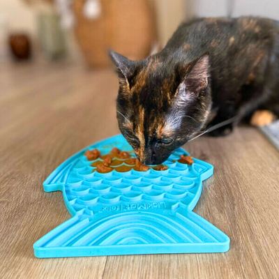 Feeding Accessories