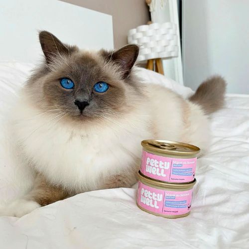Salmon Pâté / Pastries for cats