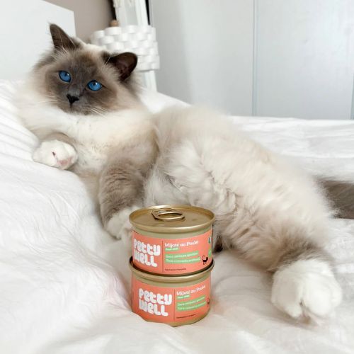 Chicken Pies / Pâté for Cats