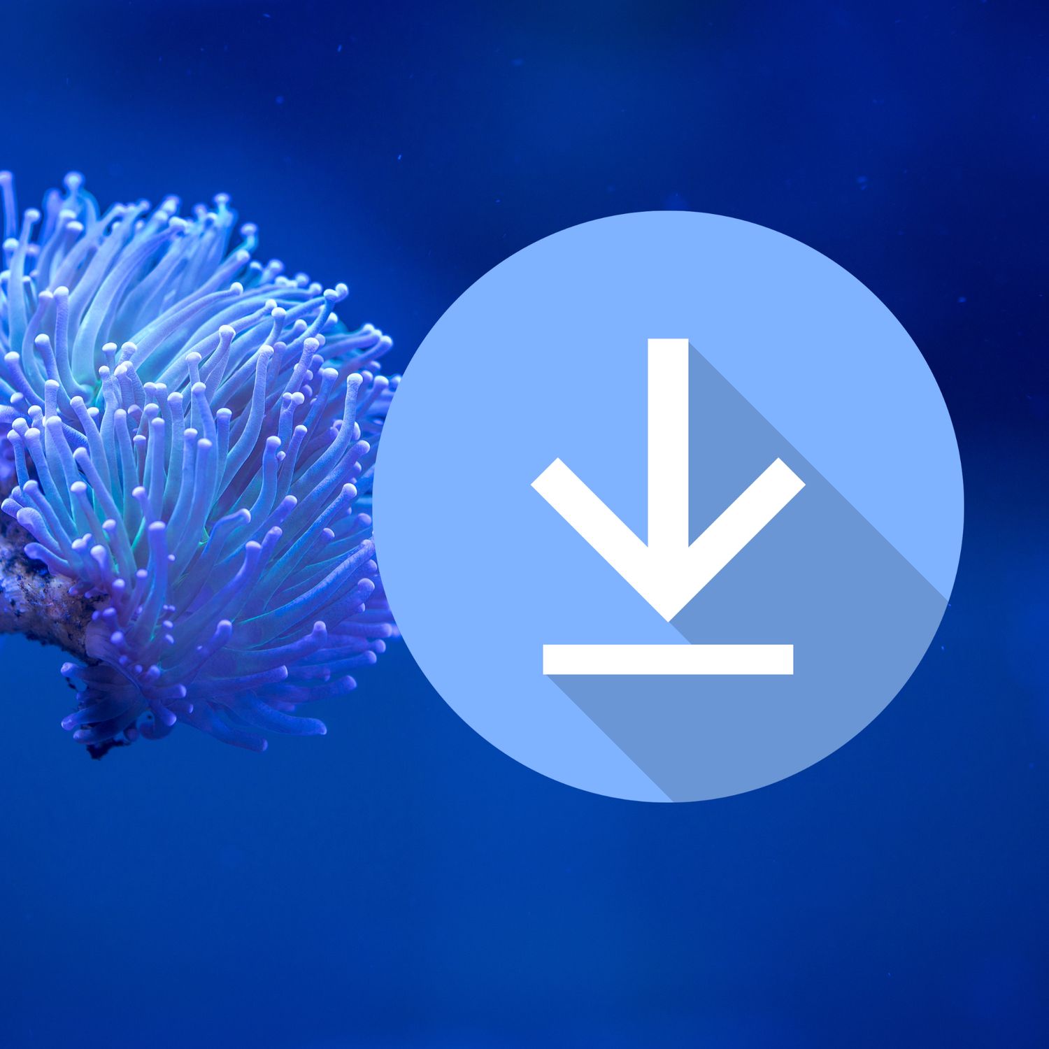 Greenman Aquarium Care Guide