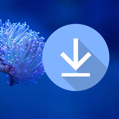 Greenman Aquarium Care Guide