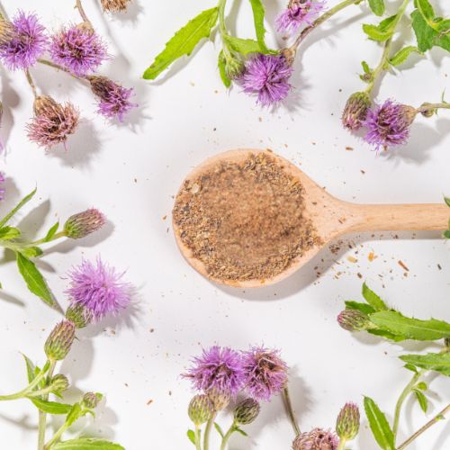 Pó de Sementes de Cardo Mariano