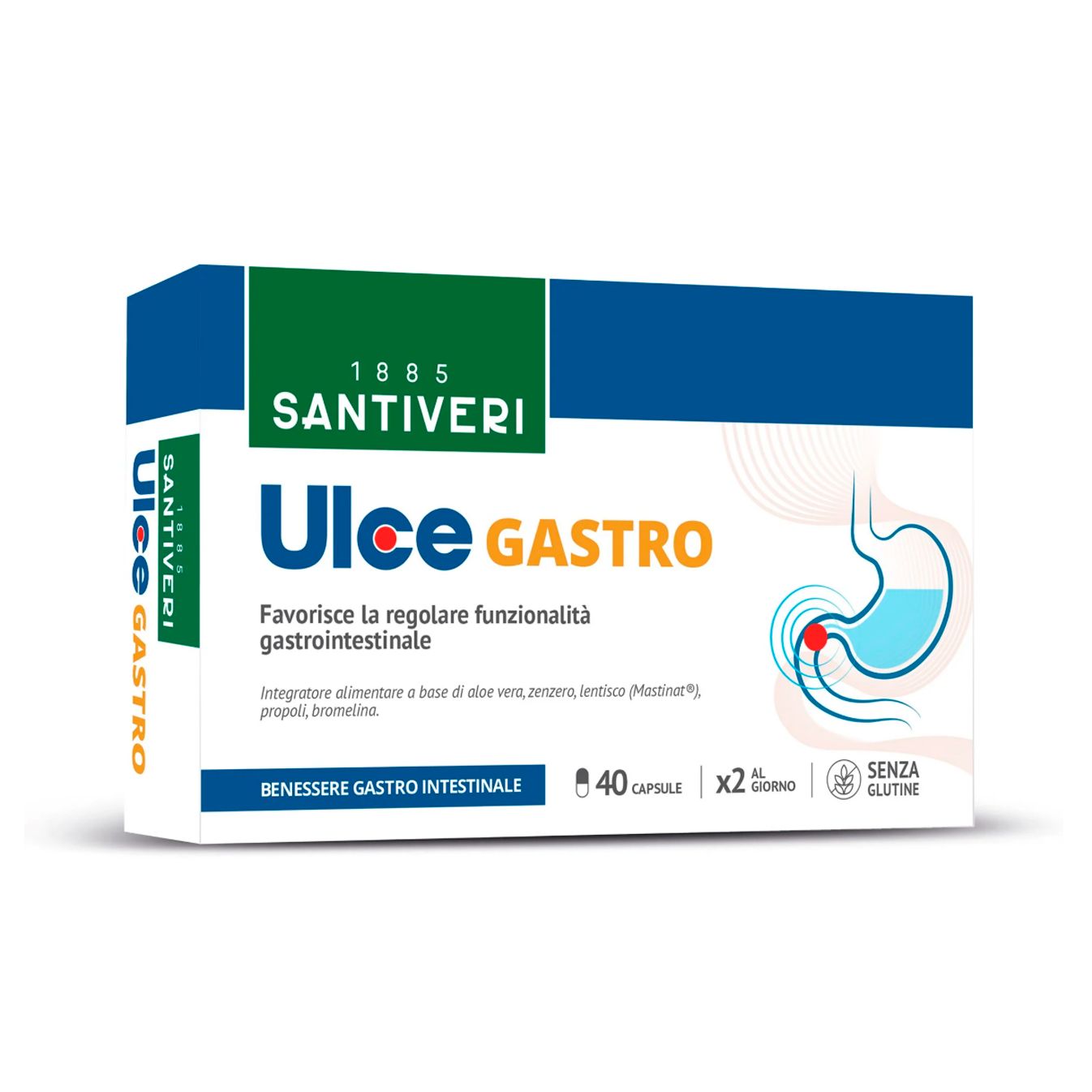 Ulce Gastro Capsule 15g