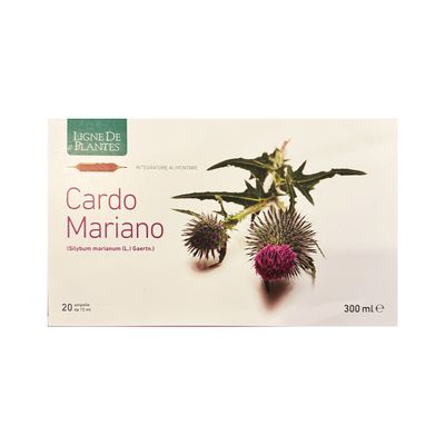Cardo Mariano