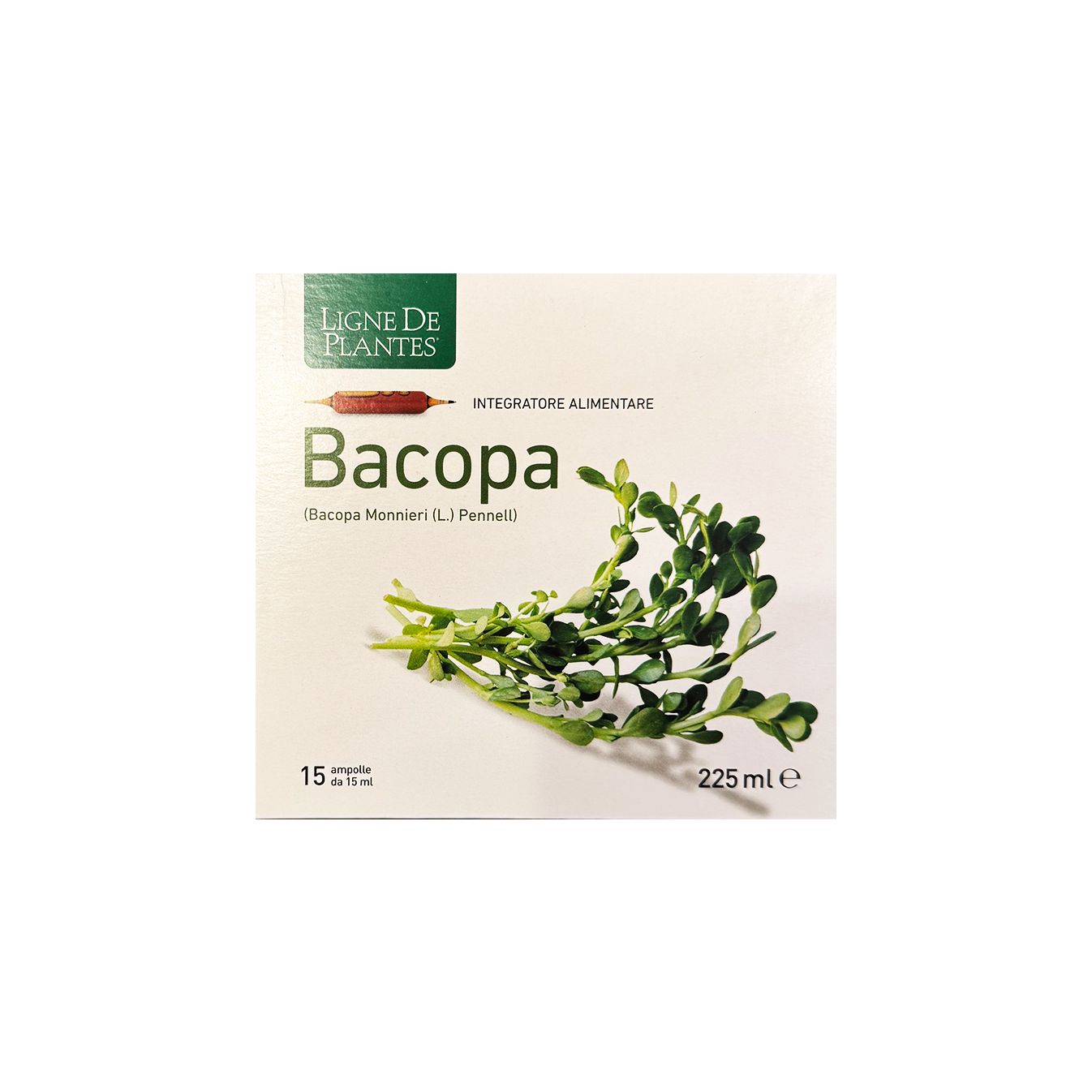 Bacopa
