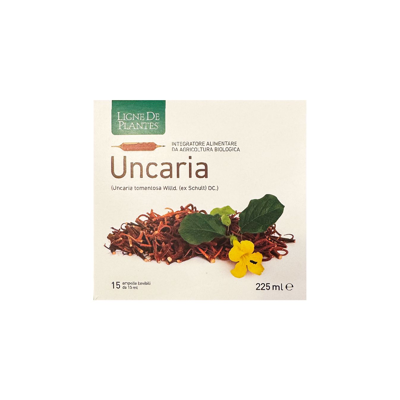 Uncaria Bio