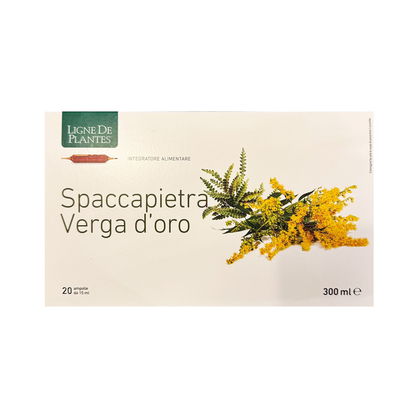 Spaccapietra Verga d&#39;oro