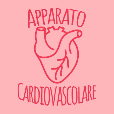 Apparato Cardiovascolare