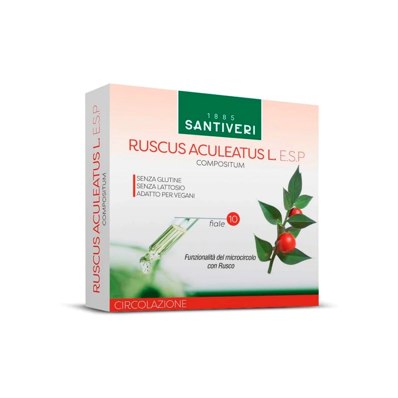 Ruscus Aculeatus 10 Fiale