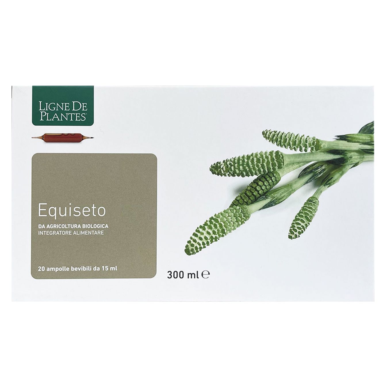 Equiseto 20 Ampolle