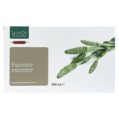 Equiseto 20 Ampolle