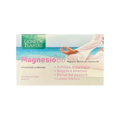 Magnesio B6