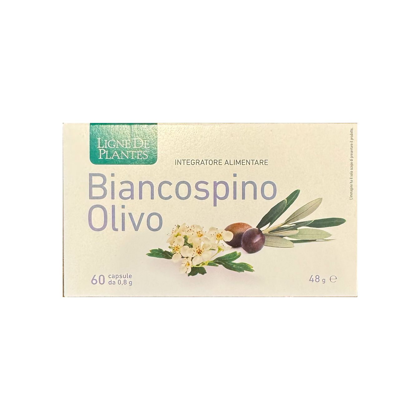 Biancospino Olivo