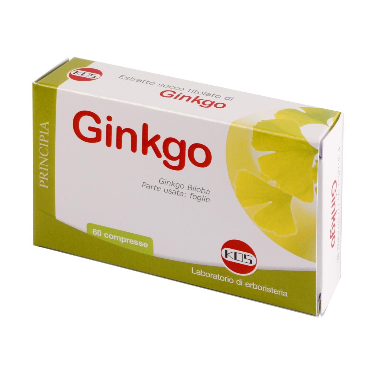 Ginkgo Biloba