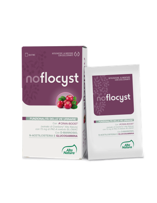 Noflocyst 7 bustine da 8g