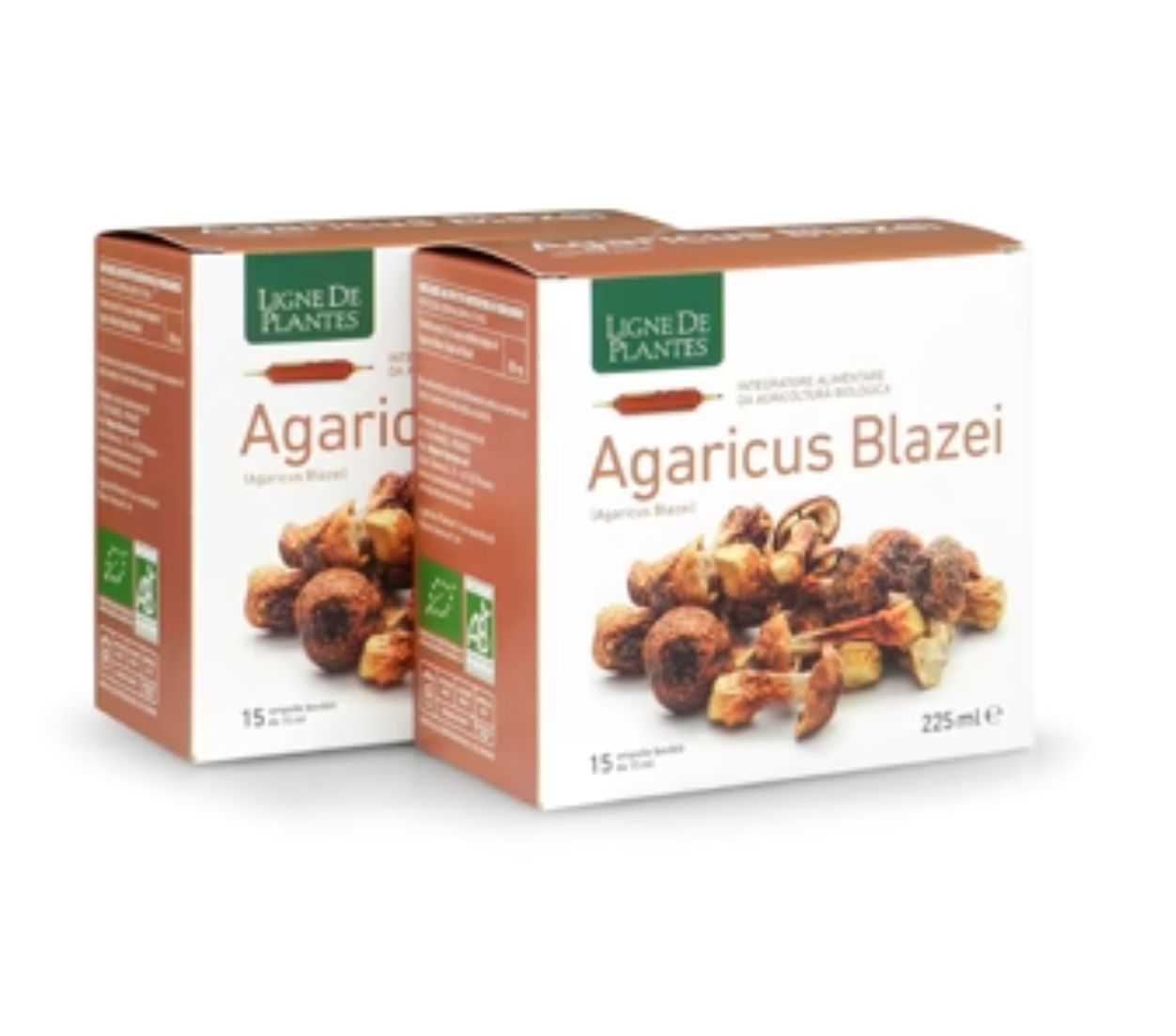 Agaricus Blazei 15 ampolle da 15ml