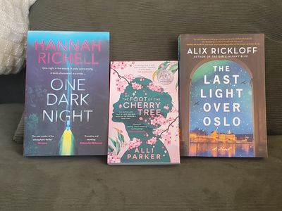 Adults Fiction Bundle 4