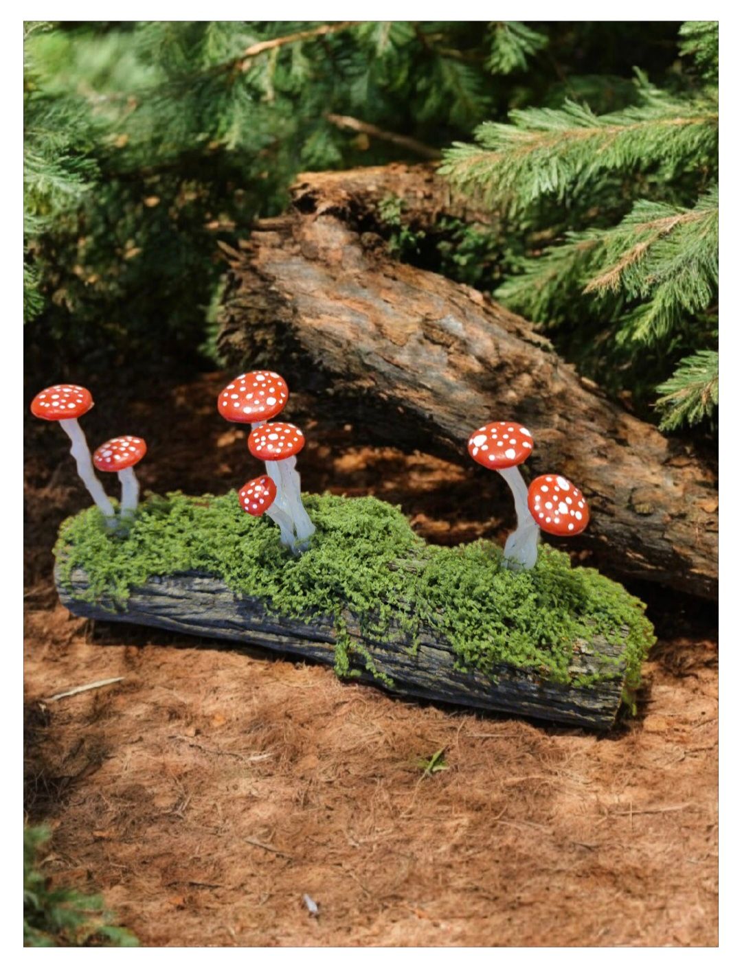 Mushrooms. Small log.