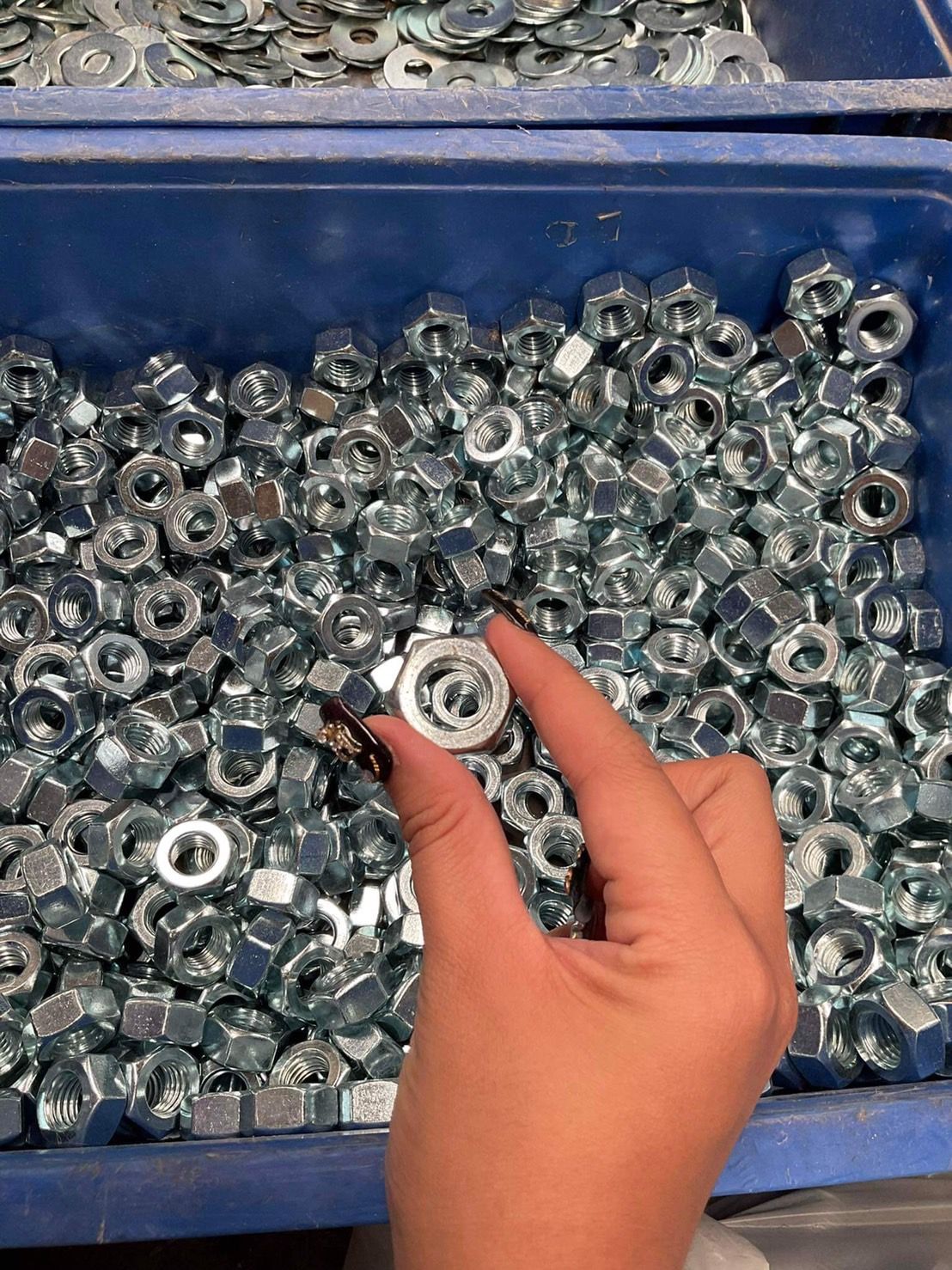 น็อตตัวเมีย