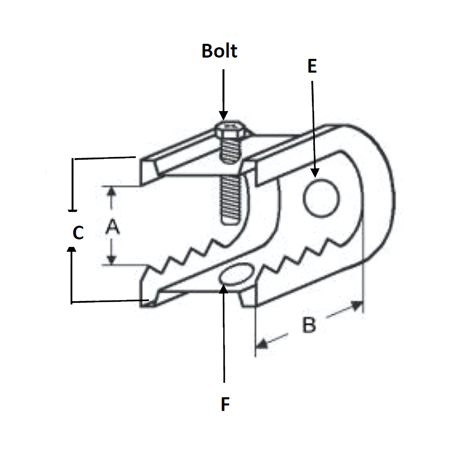 แคล้มฟันจระเข้