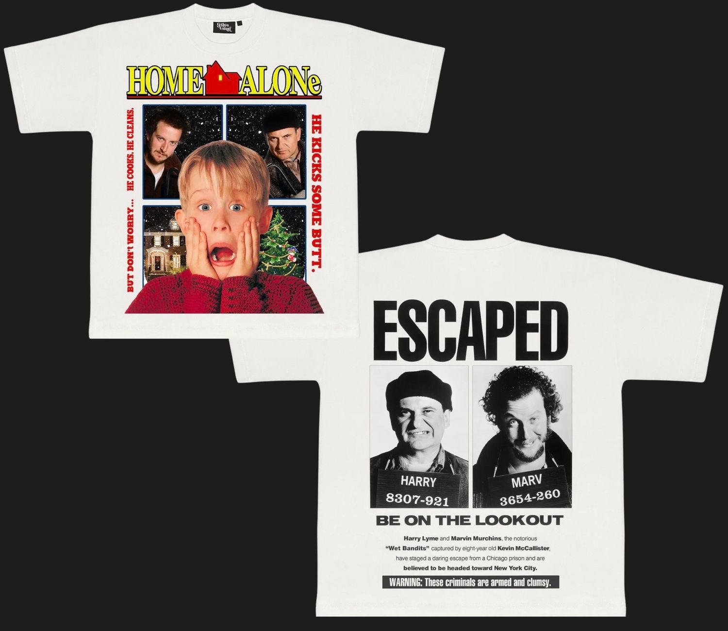 Home Alone V2