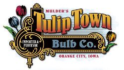 Tulip Town Bulb Co.