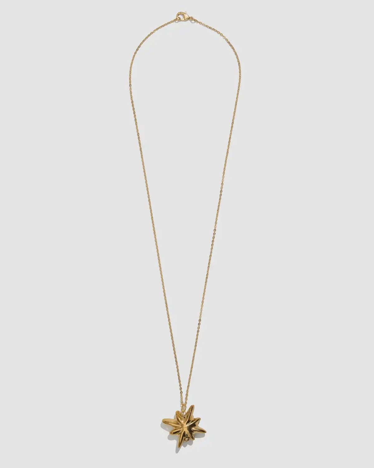 DRIMOTA pendant with star on chain, Material: Golden star
