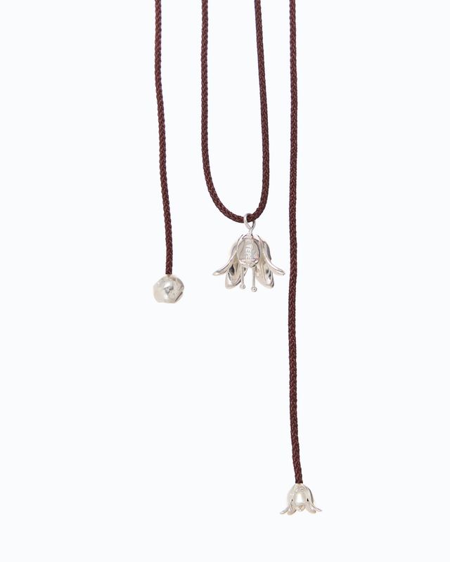 ERA Silver bellflower