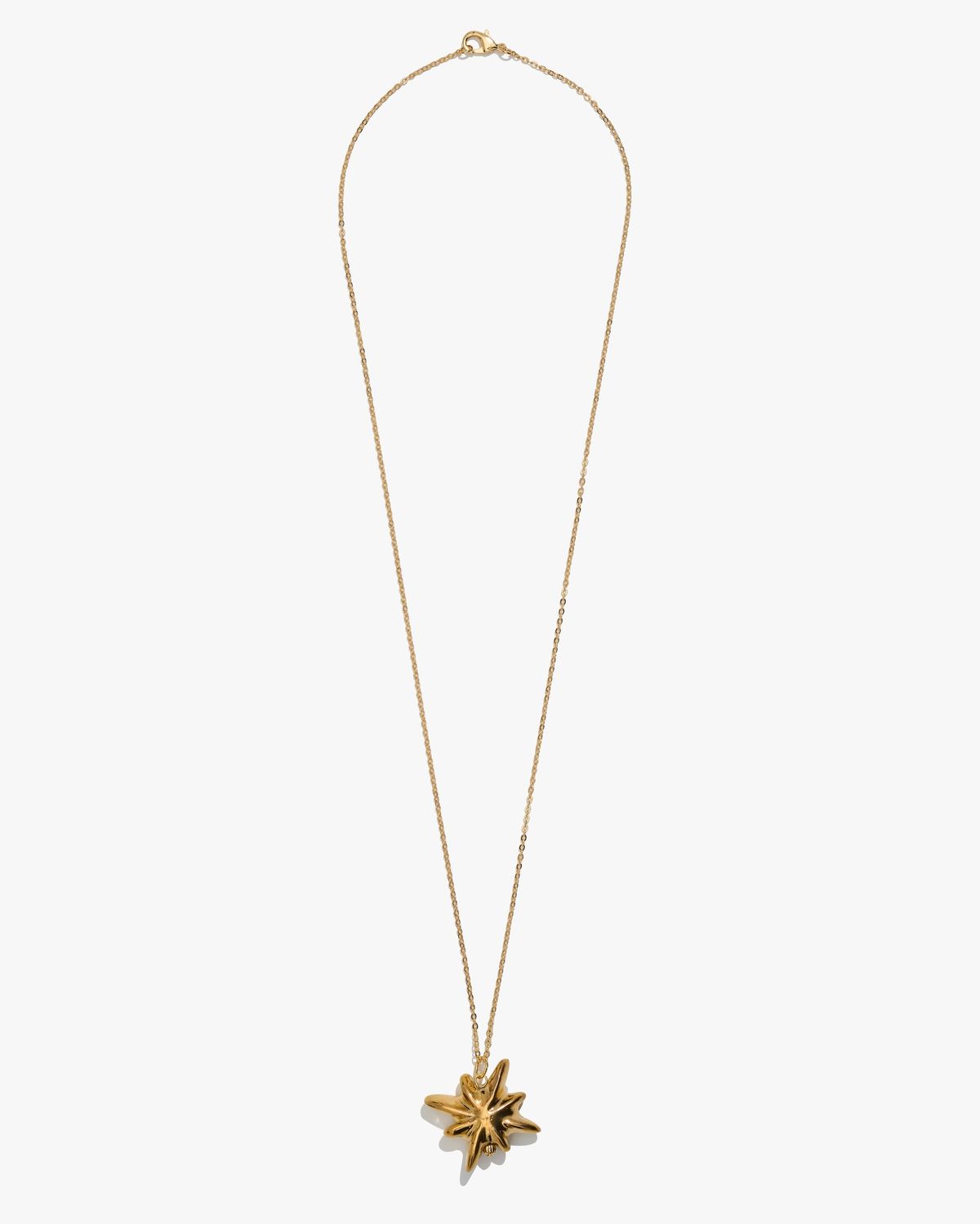 DRIMOTA pendant with star on chain, Material: Golden star