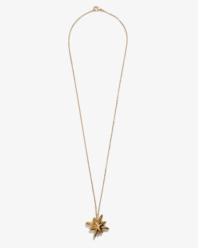DRIMOTA pendant with star on chain