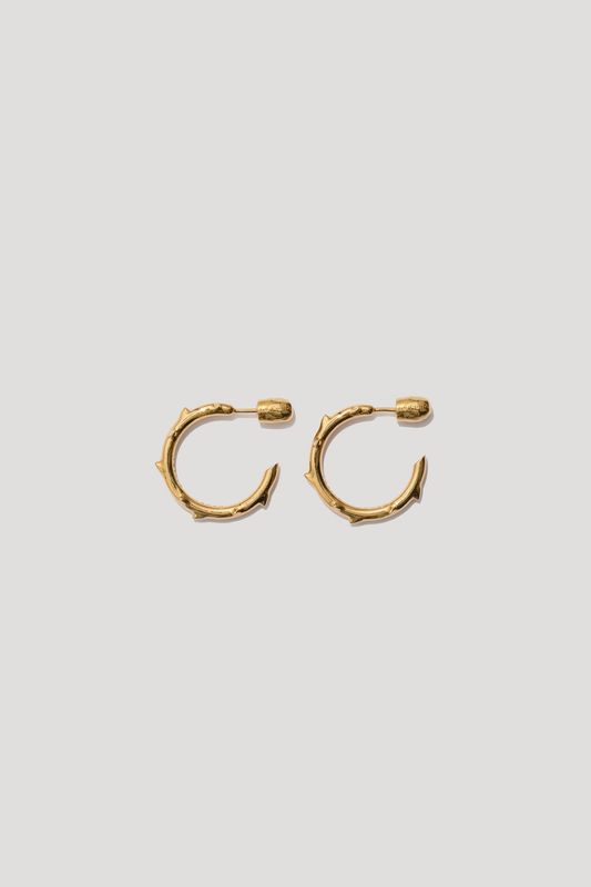Earrings THORNS