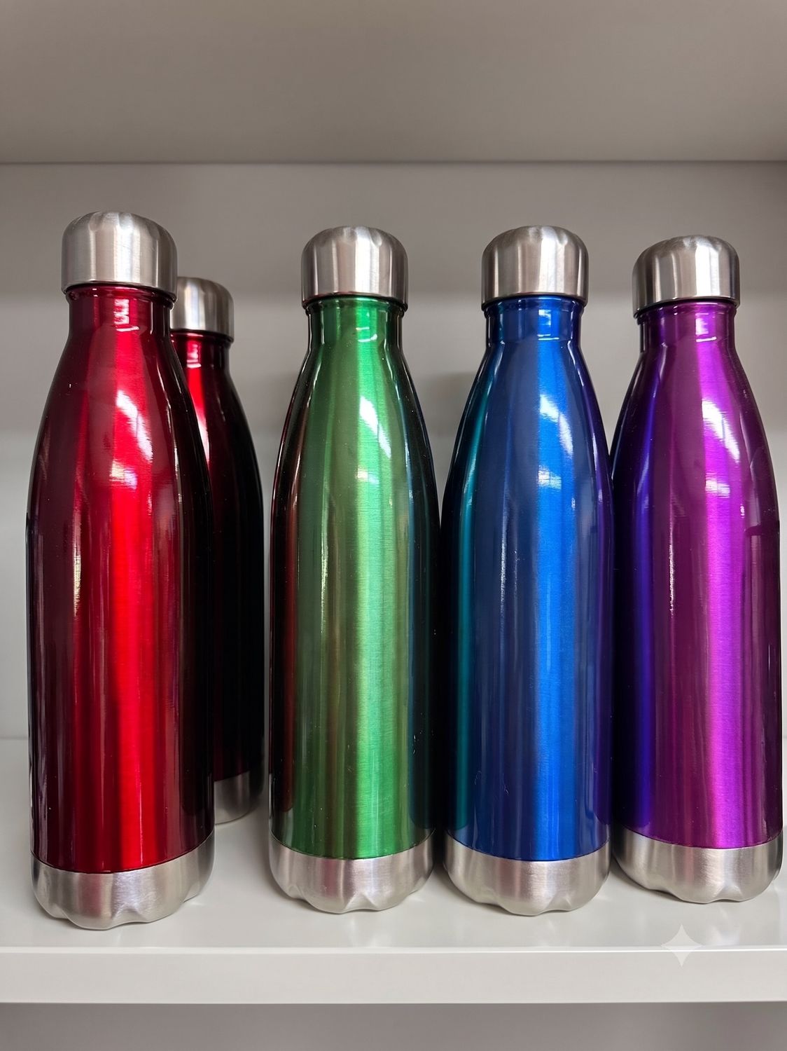 Stainless Steel Water Bottle