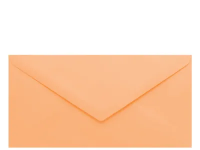 Obálka lososová 220x110mm