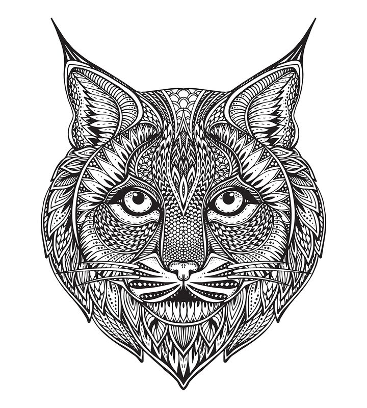 Samolepka Tvarová Rys 70x90cm