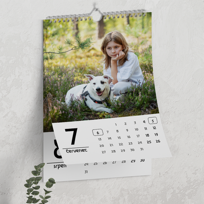 Foto-kalendář nástěnný měsíční 13 stran KAL04