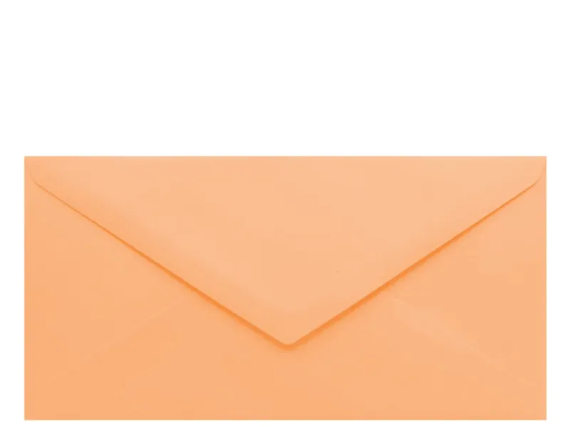Obálka lososová 220x110mm