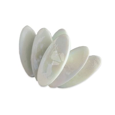 Ellipse White