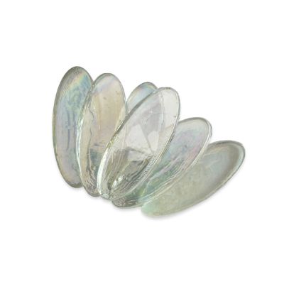 Ellipse Transparant