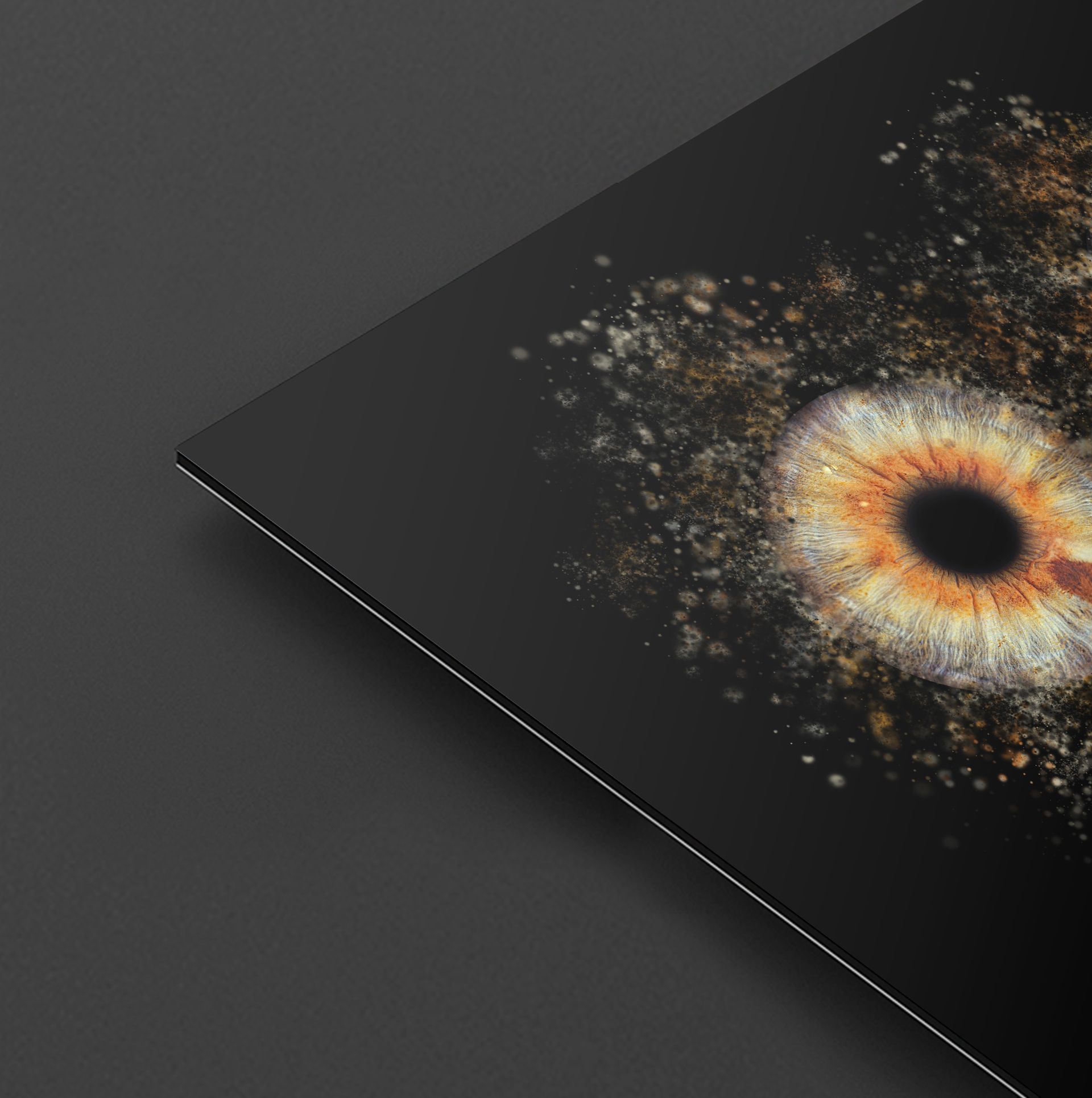 Formule Métal Signature