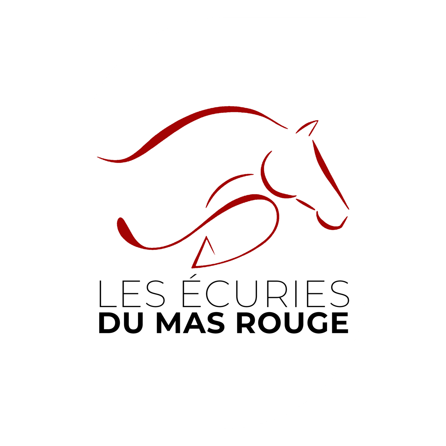 P75 CSO MAS ROUGE