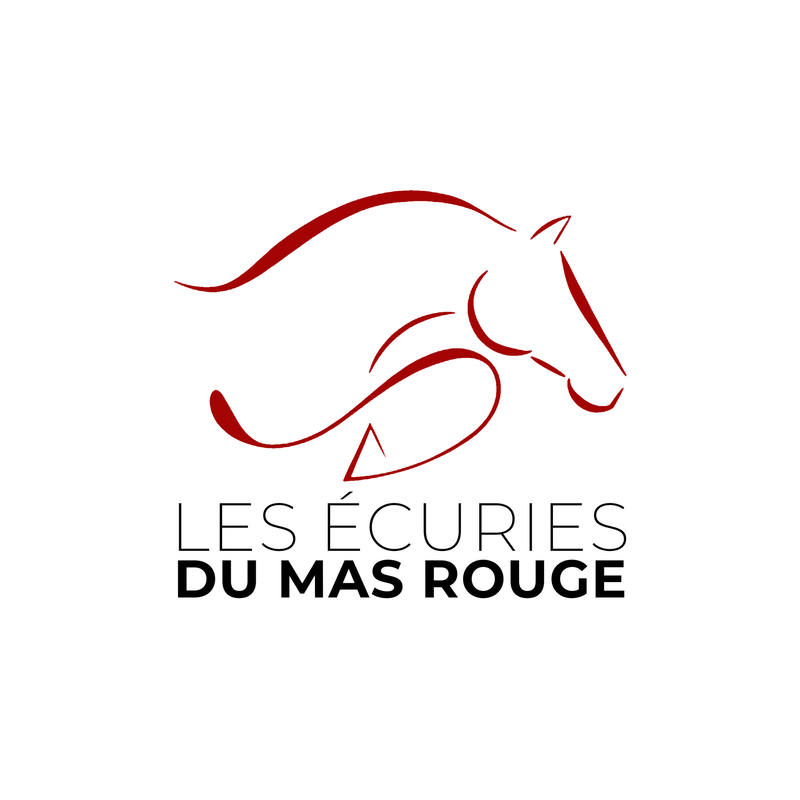 P50 CSO MAS ROUGE