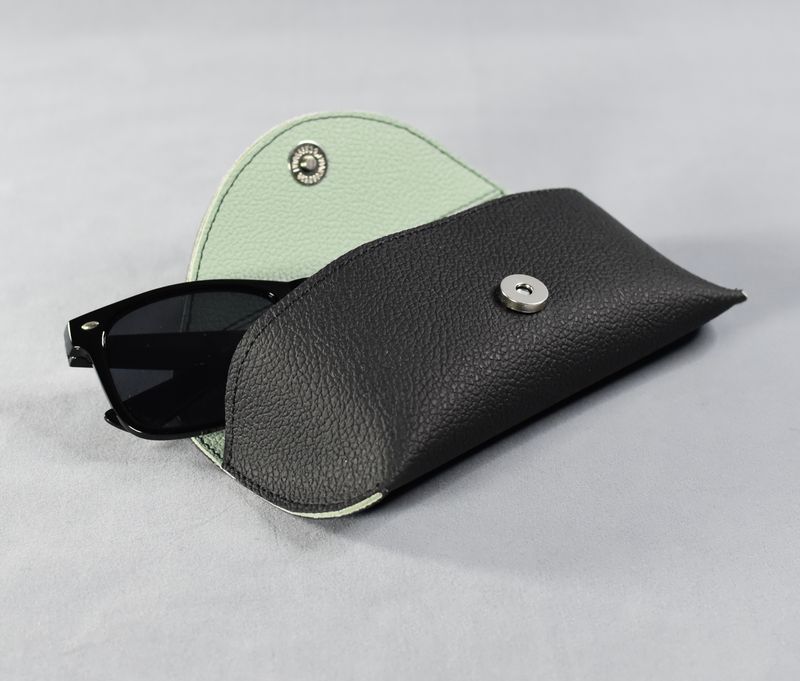 Étuis à lunettes noir intérieur vert