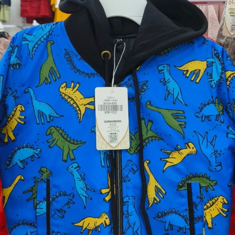 Winter Hoodie Jacket