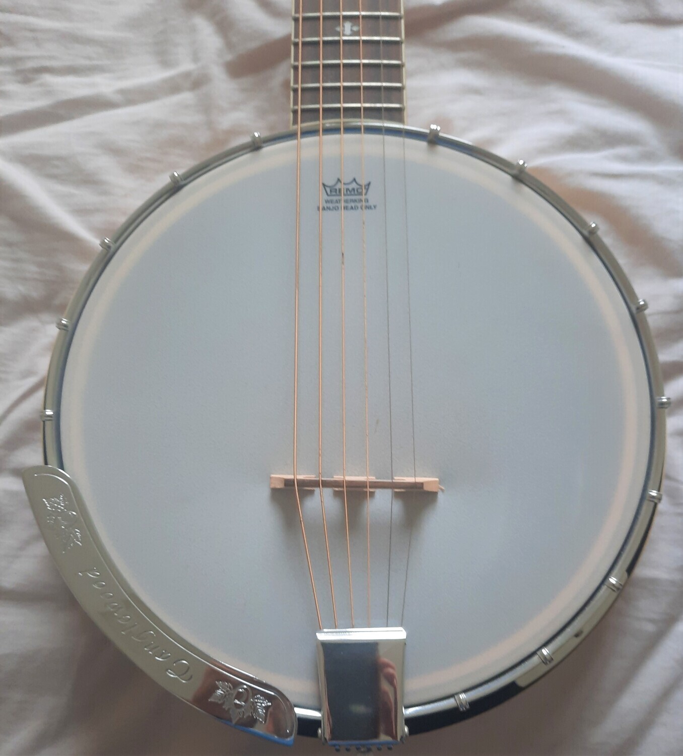 Tanglewood TWB-M6 Union Banjo 6 String - ON SALE