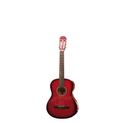 Guitar 4/4 Size with Tuner - - ON SALE