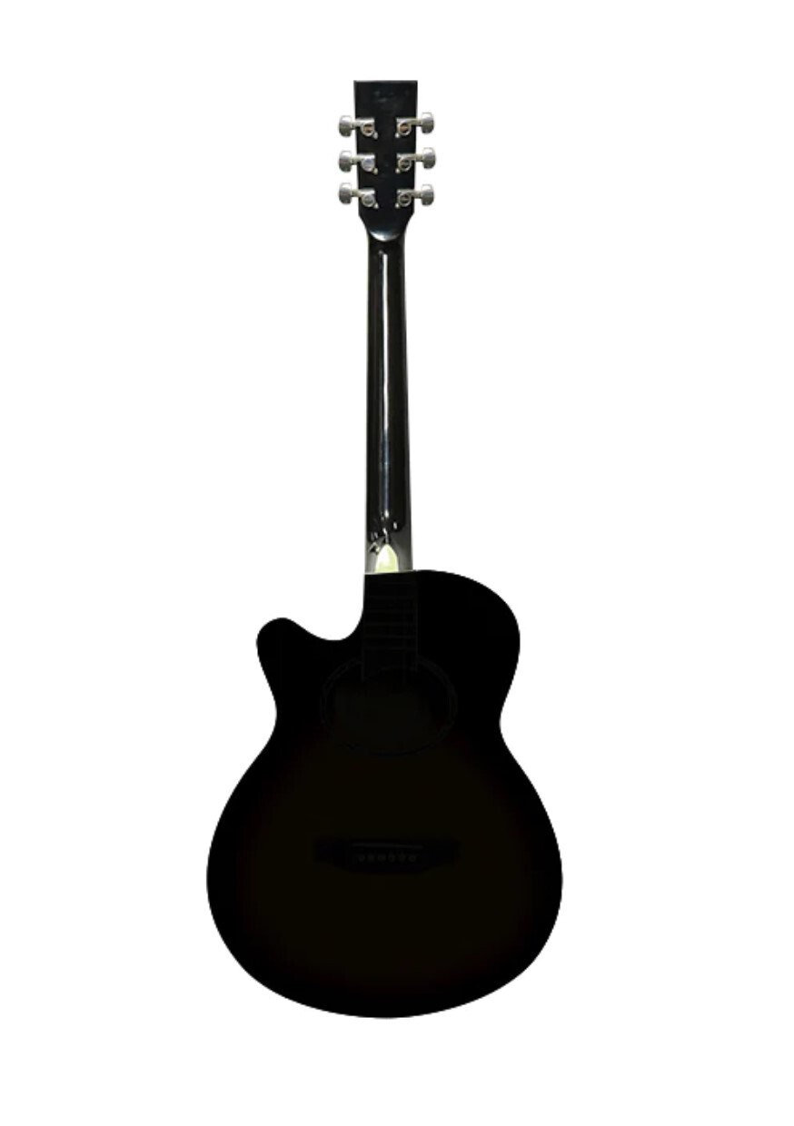 Acoustic Guitar