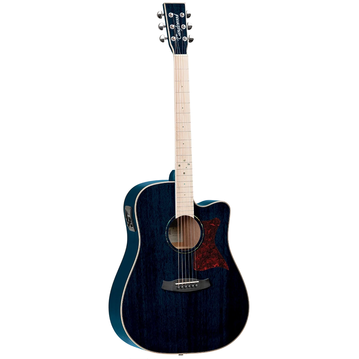 Acoustic electric guitar