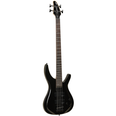 Electric Bass Guitar