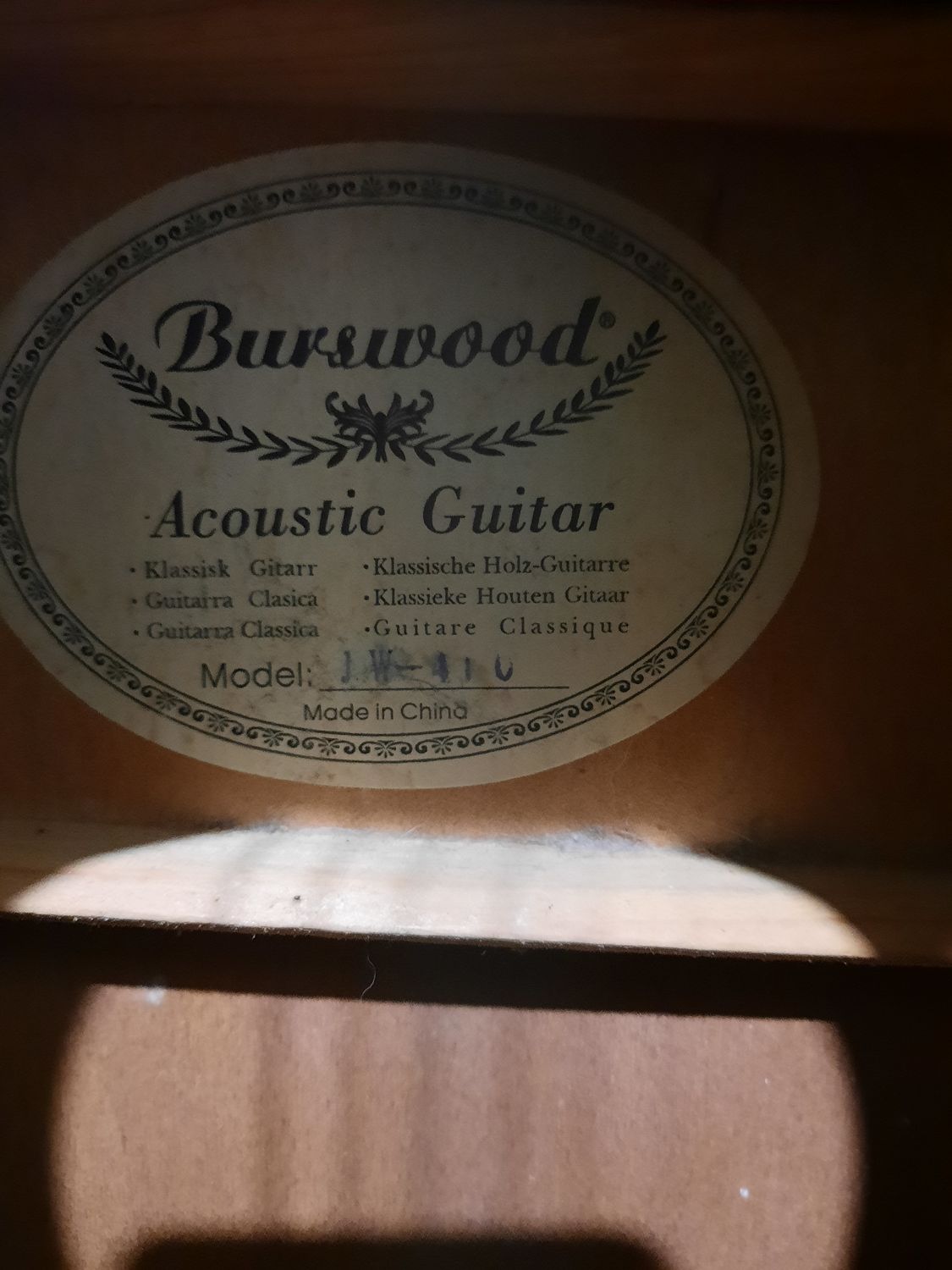 Acoustic Guitar